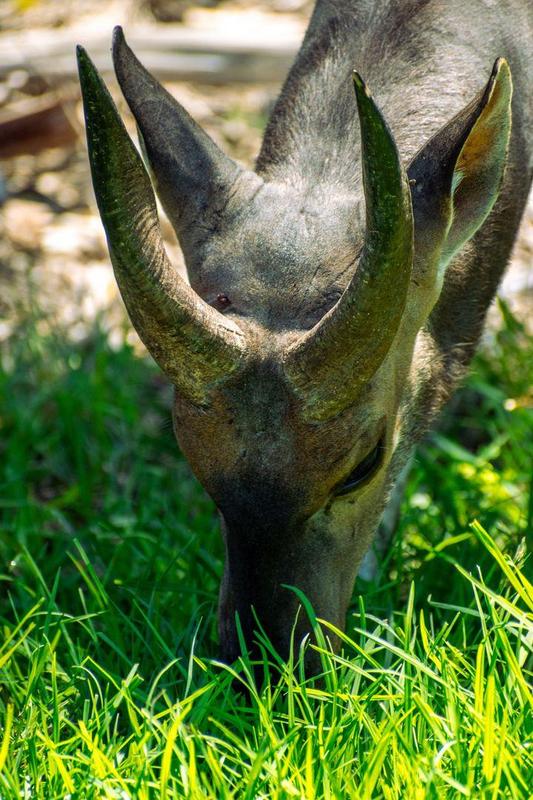 0 Bedroom Property for Sale in Moquini Western Cape